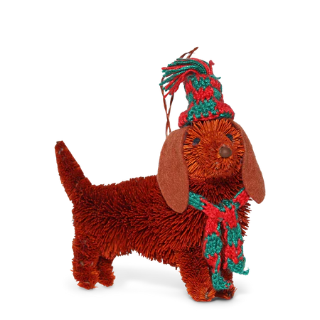 Dachshund